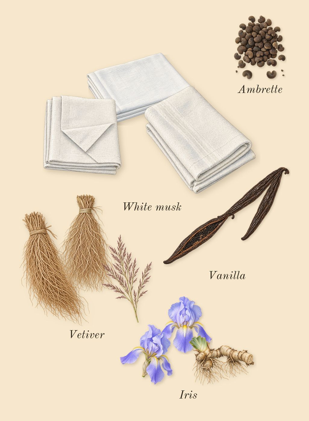 Heaven Can Wait, dry-down: Iris, Vetiver, Vanilla, White musk, Ambrette