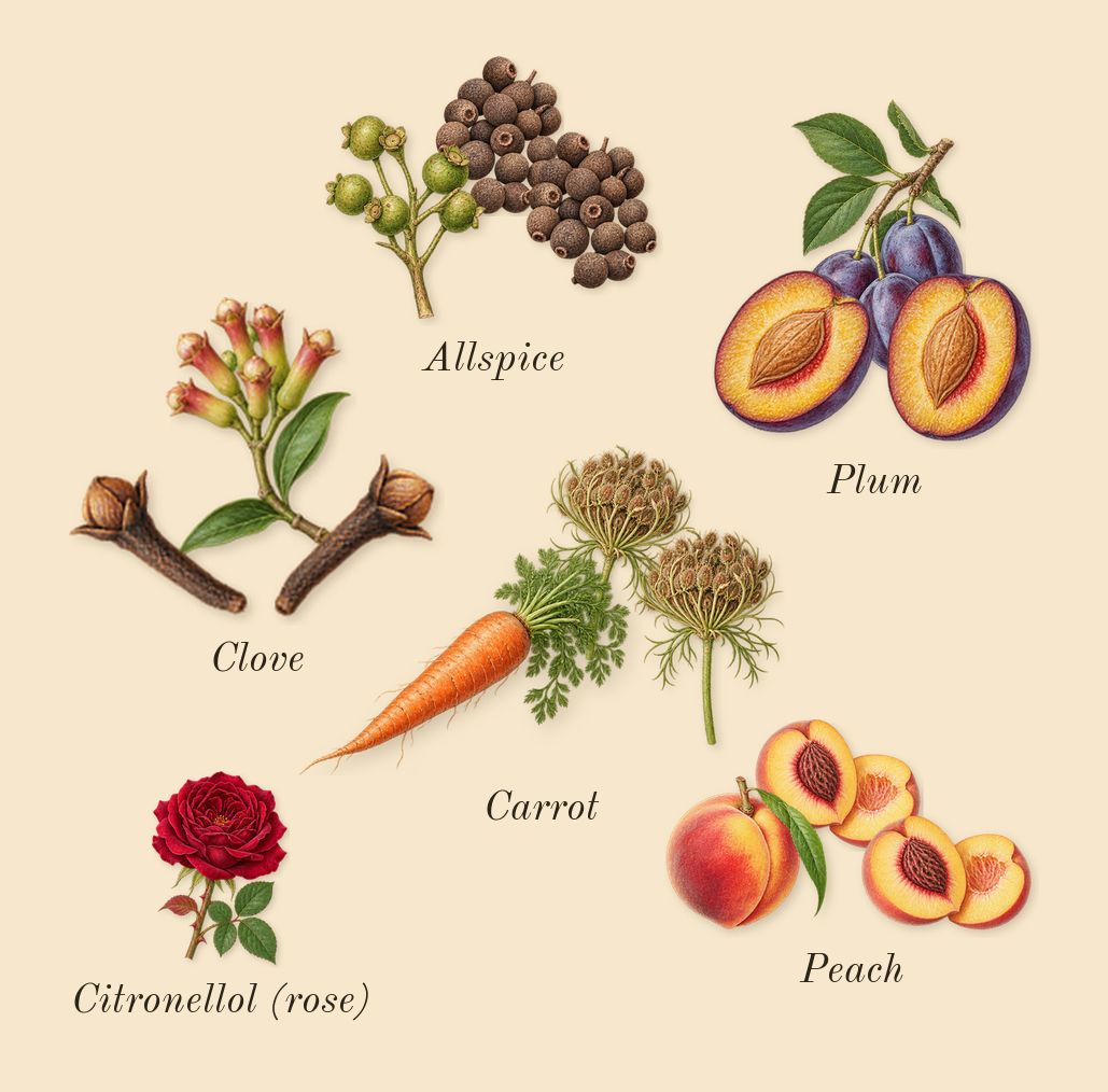 Heaven Can Wait, heart: Clove, Peach, Plum, Allspice, Carrot, Citronellol (rose)