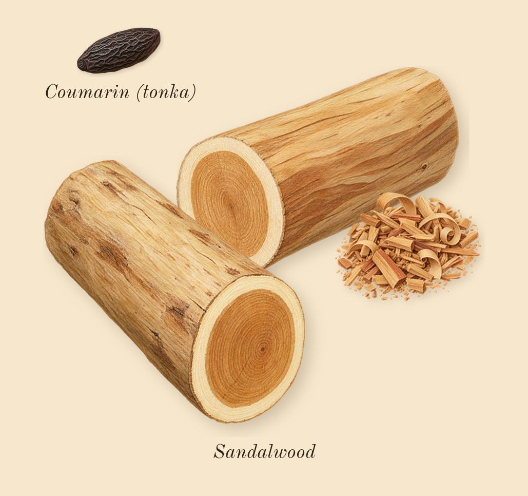Musc Ravageur, dry-down: Sandalwood, Coumarin (tonka)