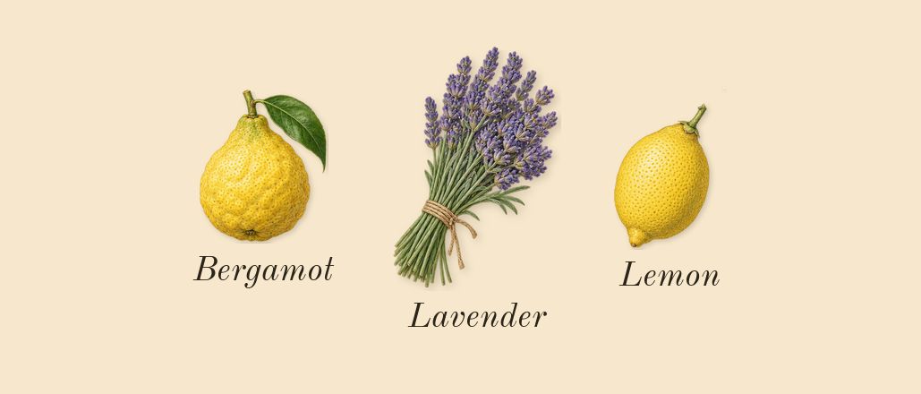 Northern Love, top notes: Bergamot, Lemon, Lavender
