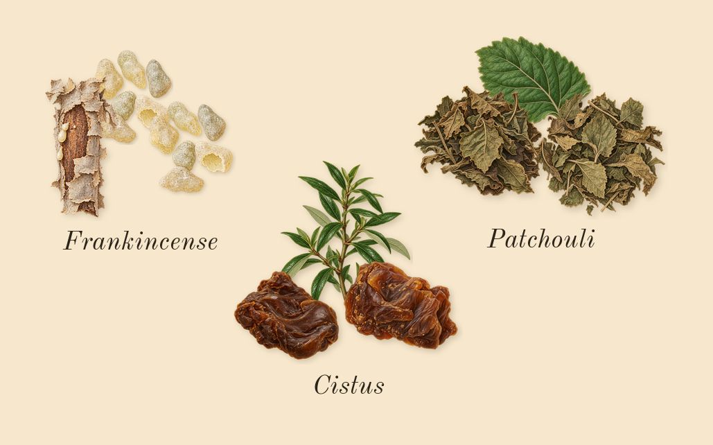 Portrait of a Lady, dry-down: Patchouli, Cistus, Frankincense