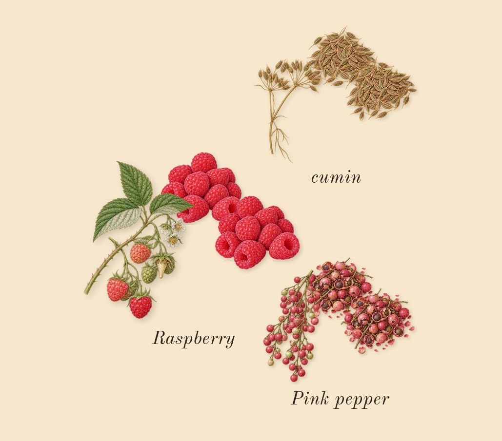 Portrait of a Lady, top notes: Raspberry, cumin, Pink pepper