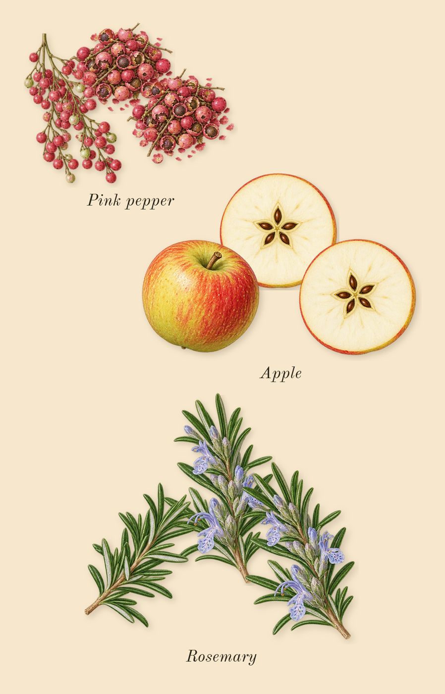 Promise, top notes: Pink pepper, Rosemary, Apple