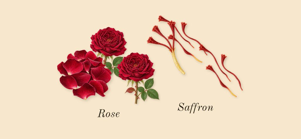The Night, top notes: Rose, Saffron