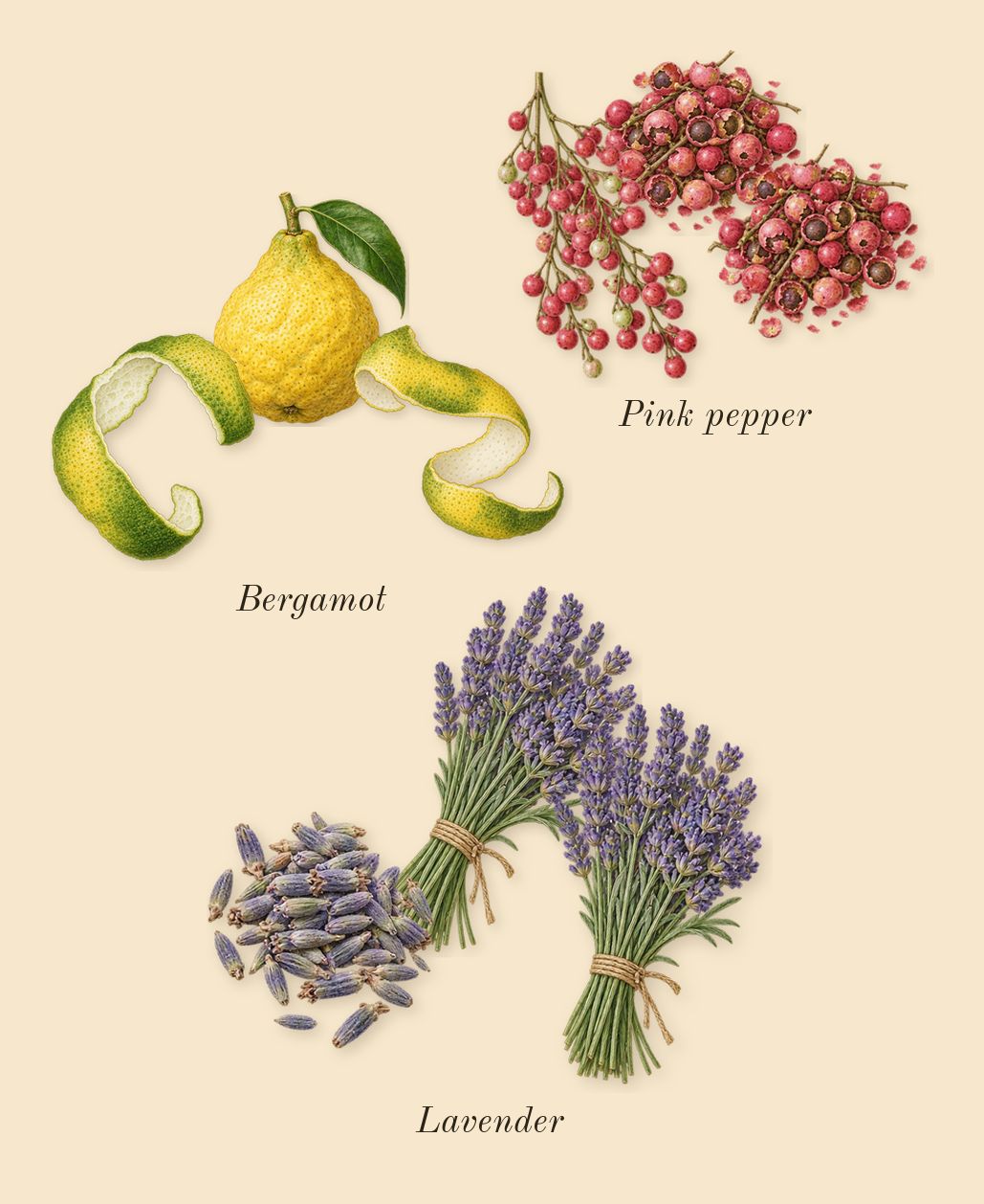 Aromatix Magnetiq, top notes: Bergamot, Pink pepper, Lavender