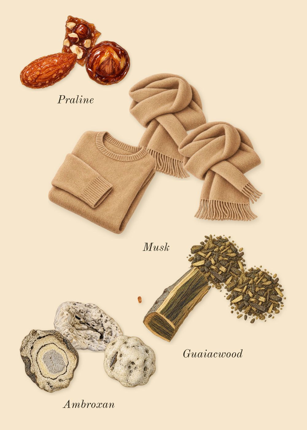 Liquid Brun, dry-down: Musk, Praline, Ambroxan, Guaiacwood