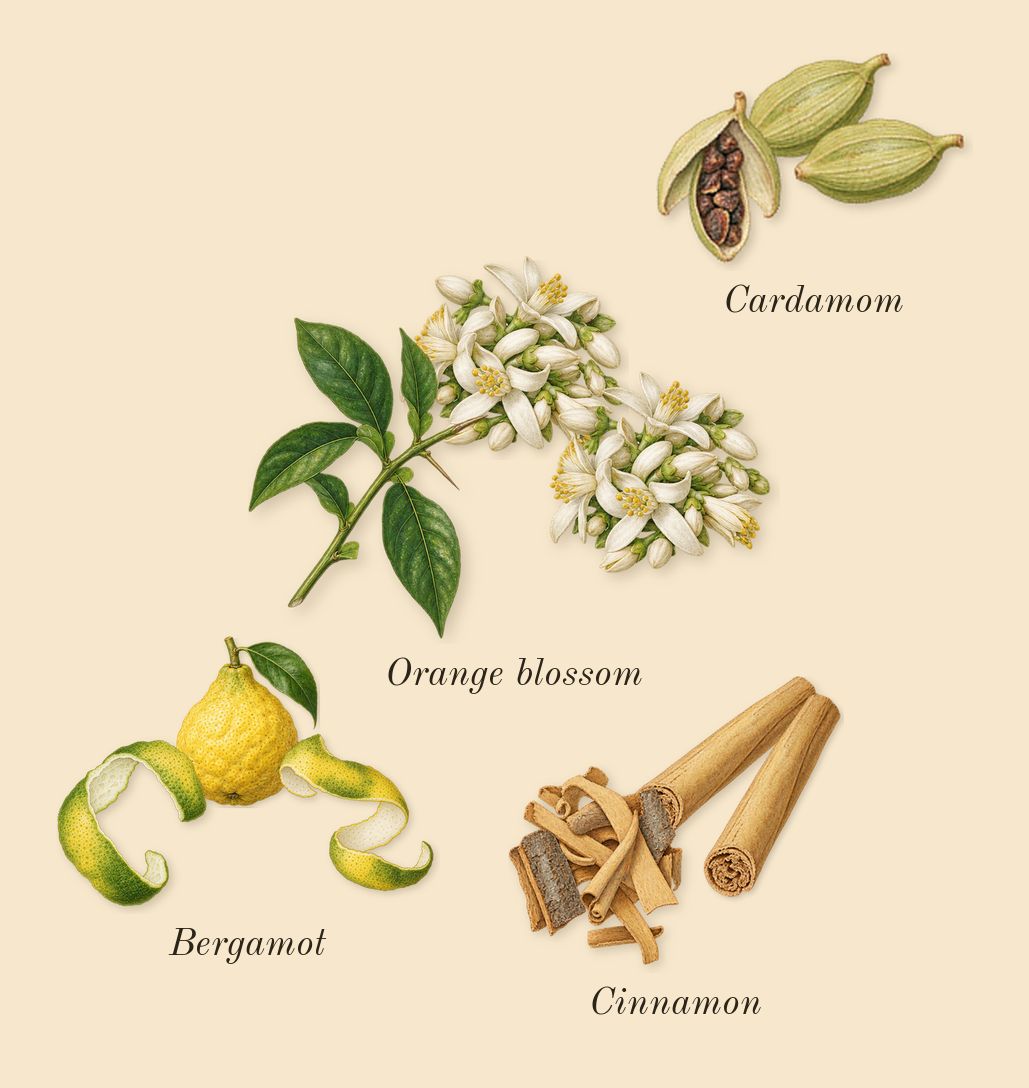 Liquid Brun, top notes: Cinnamon, Bergamot, Cardamom, Orange blossom