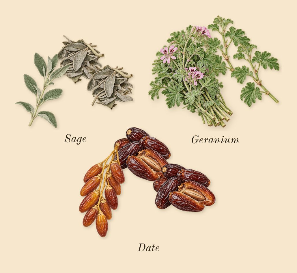 Lumiere Garcon, heart: Date, Geranium, Sage