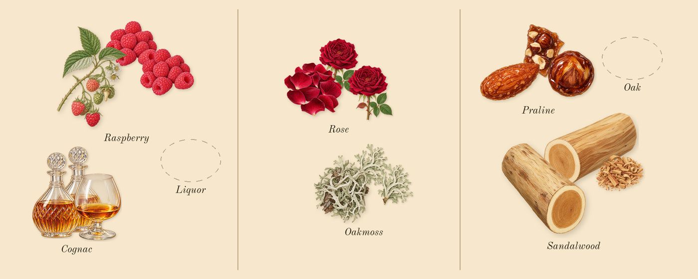 Royal Blend Sequoia’s scent picture, a draft: raspberry, rose, oakmoss, praline, sandalwood drawn so far; dashed outlines where nothing is drawn yet