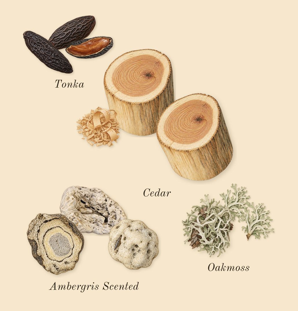 Vulcan Feu, dry-down: Cedar, Ambergris Scented, Tonka, Oakmoss