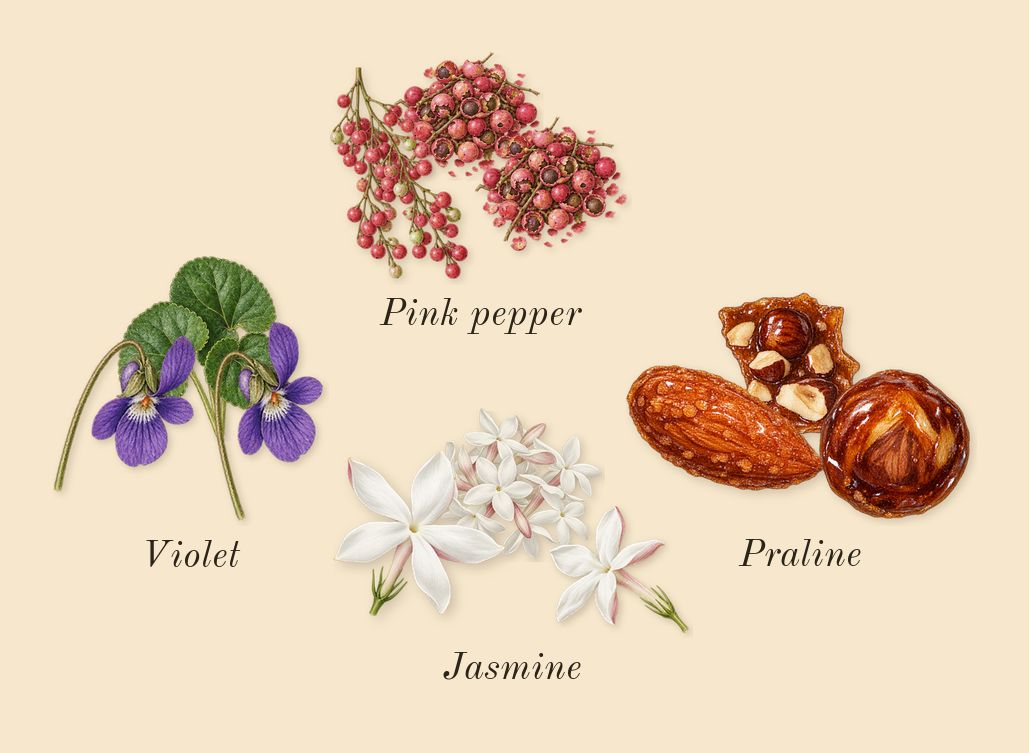 Vulcan Feu, heart: Jasmine, Violet, Praline, Pink pepper