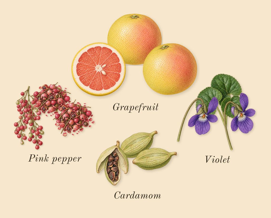 Yes I Am The King Icon, top notes: Pink pepper, Cardamom, Grapefruit, Violet