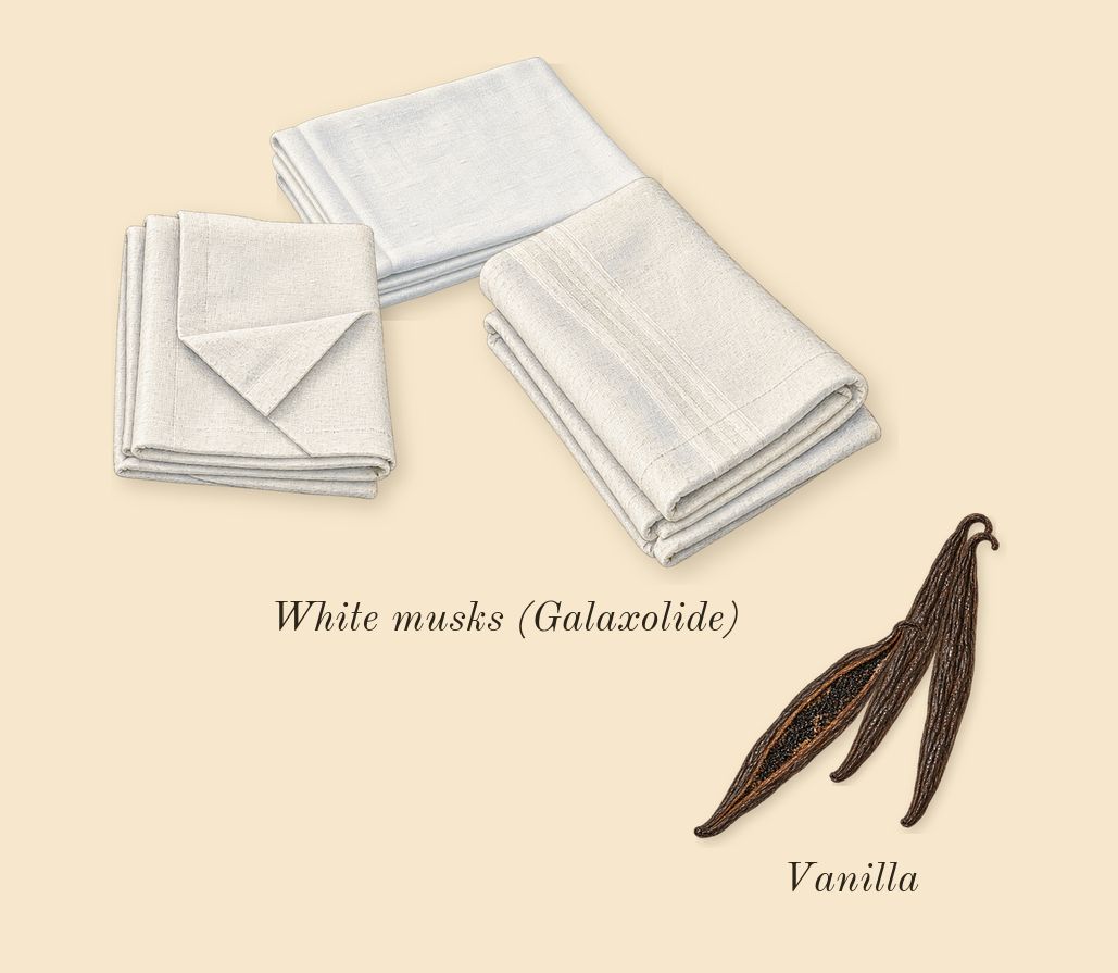 Bianco Latte, dry-down: Vanilla, White musks (Galaxolide)