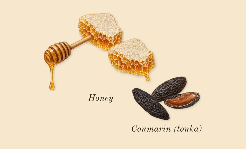 Bianco Latte, heart: Honey, Coumarin (tonka)