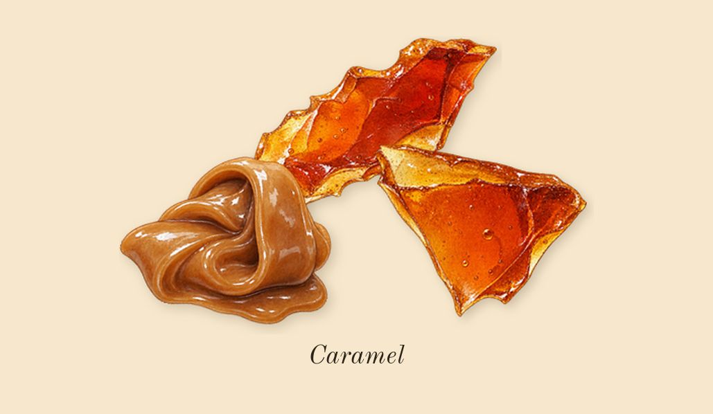 Bianco Latte, top notes: Caramel