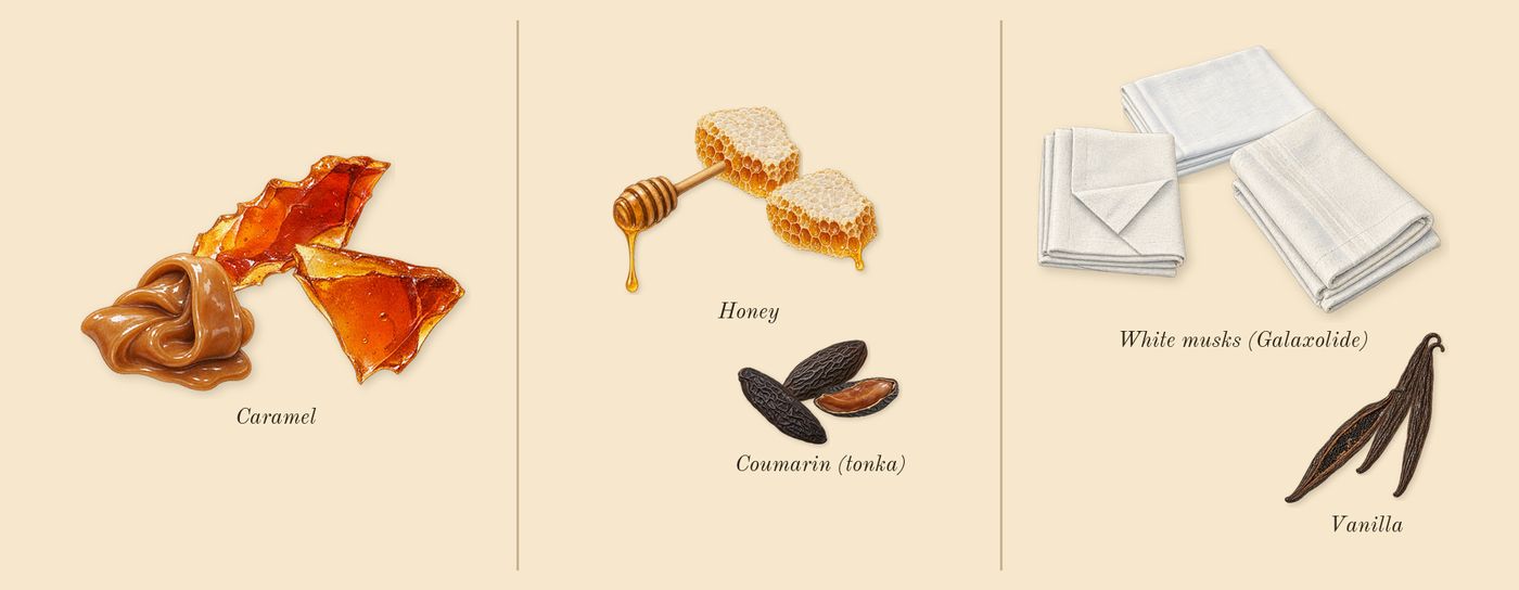Bianco Latte’s scent picture, a draft: caramel, honey, coumarin (tonka), vanilla, white musks (galaxolide) drawn so far; dashed outlines where nothing is drawn yet