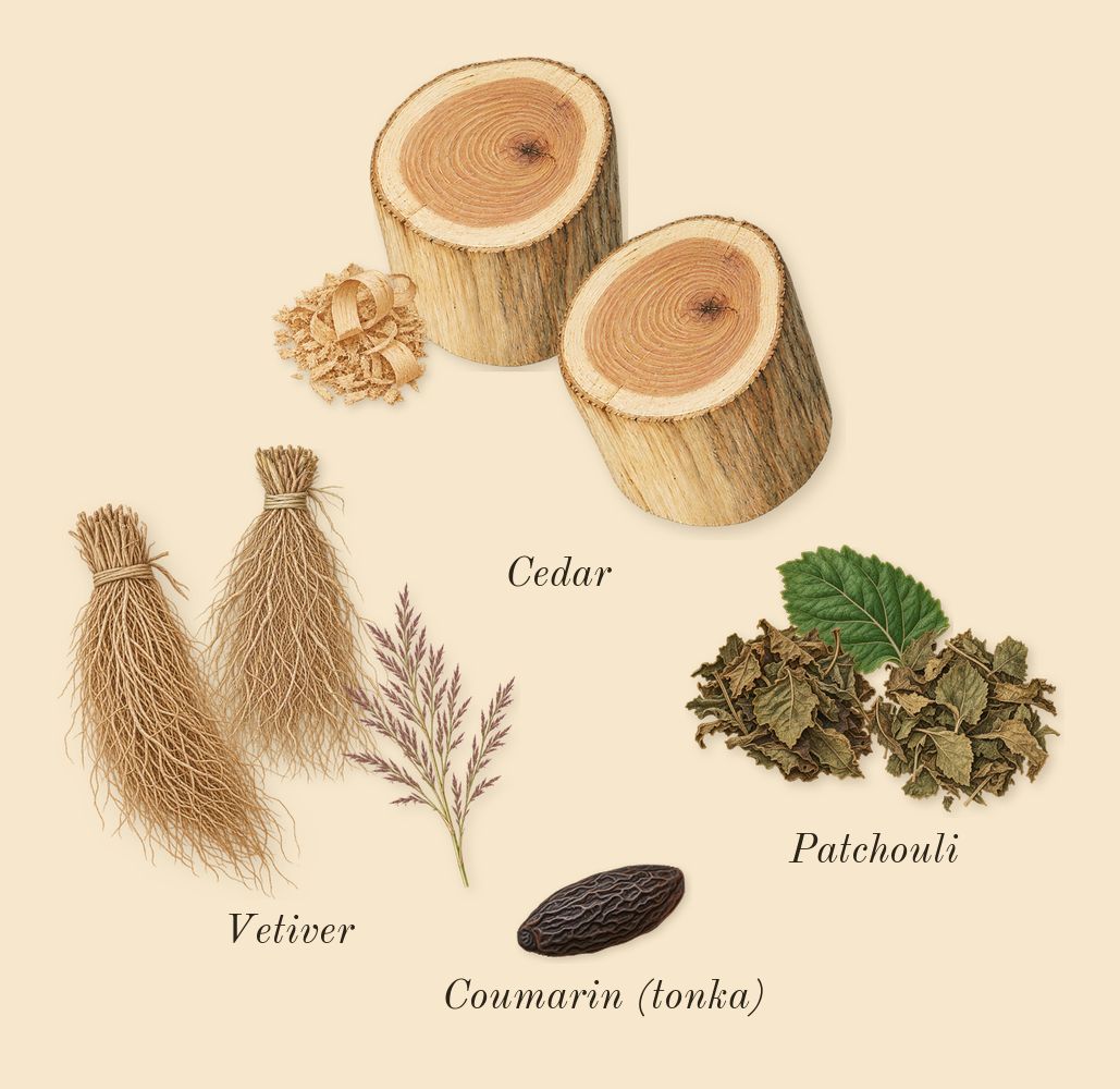 Gentleman Réserve Privée, dry-down: Cedar, Vetiver, Patchouli, Coumarin (tonka)