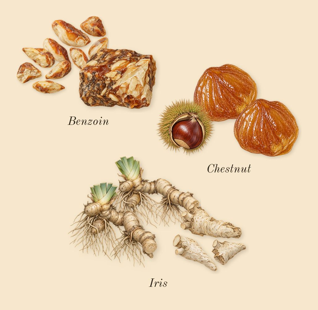 Gentleman Réserve Privée, heart: Chestnut, Iris, Benzoin