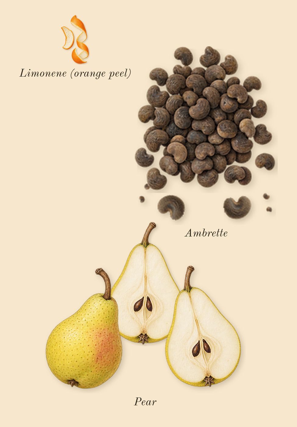 Irresistible, top notes: Pear, Ambrette, Limonene (orange peel)
