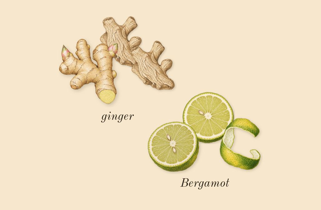 L'Interdit, top notes: Bergamot, ginger