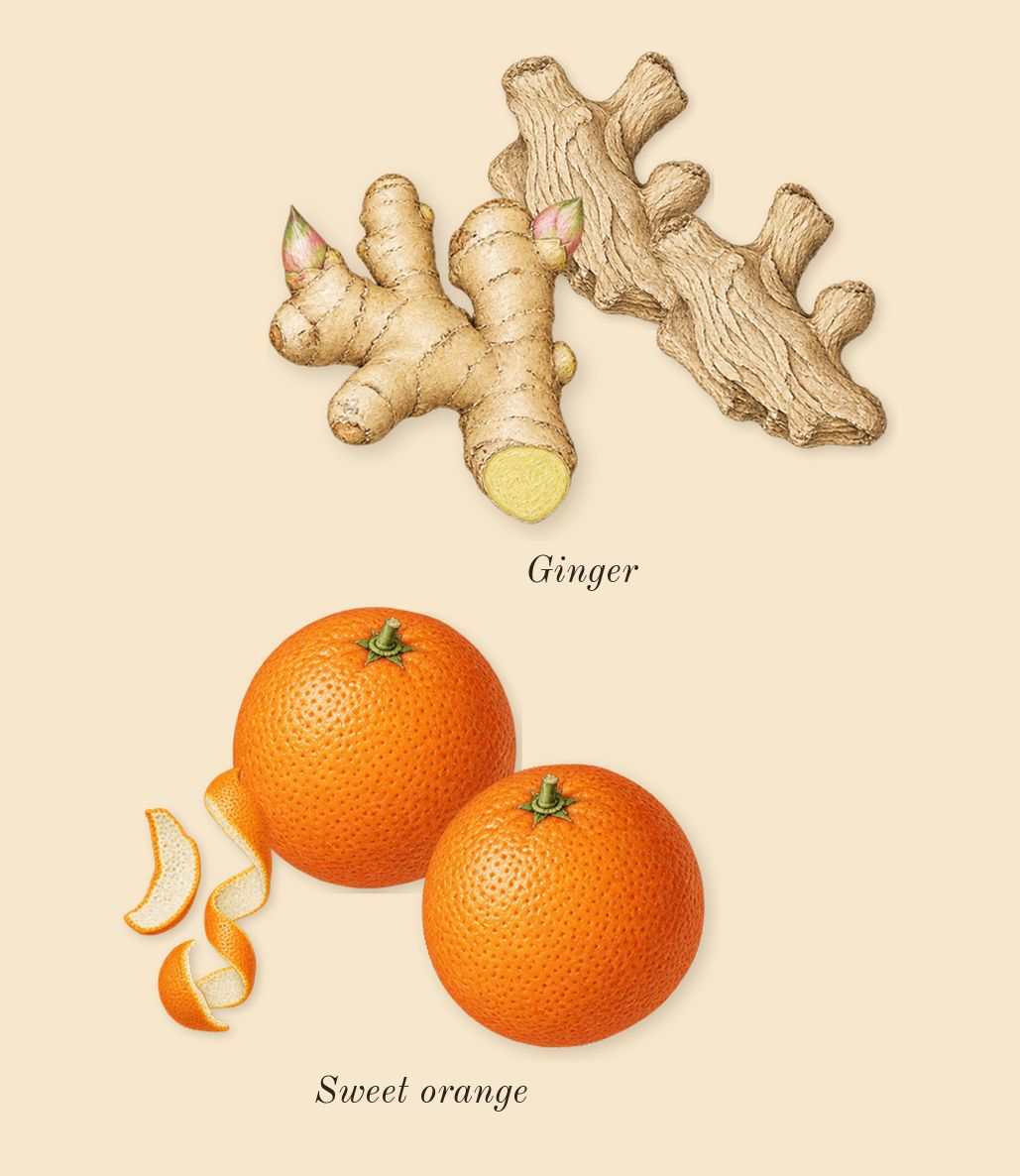 L'Interdit Rouge, top notes: Sweet orange, Ginger
