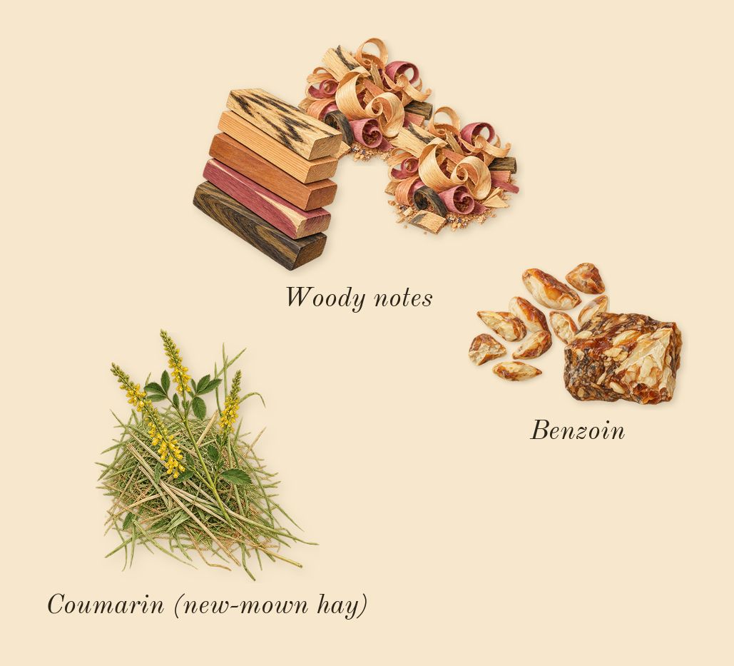 Pi, dry-down: Woody notes, Benzoin, Coumarin (new-mown hay)