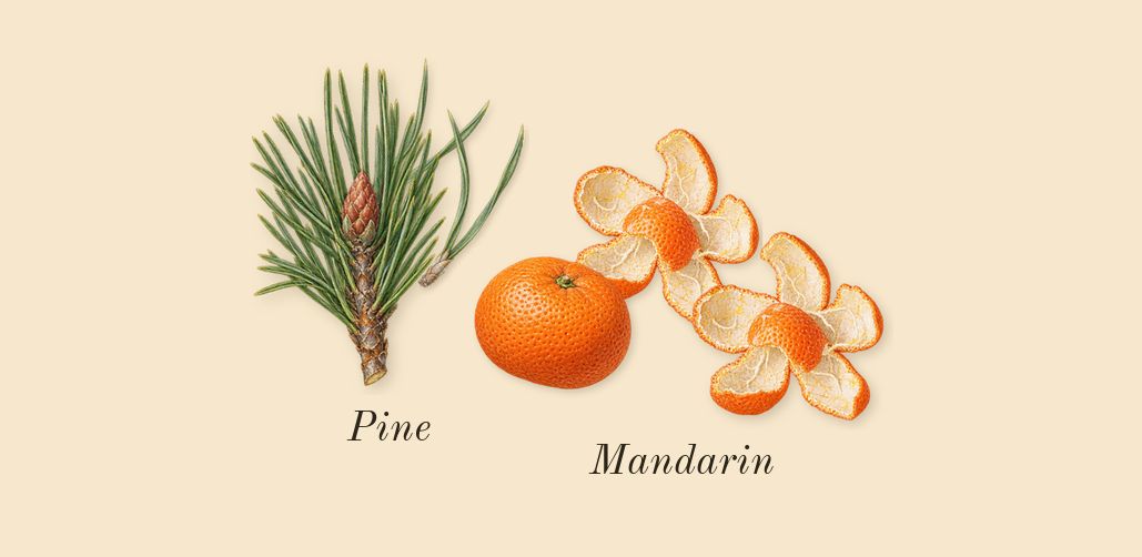 Pi, top notes: Mandarin, Pine