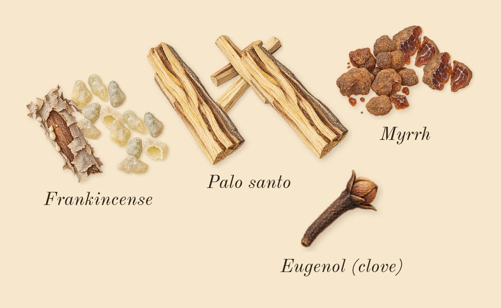 You Doux, heart: Palo santo, Frankincense, Myrrh, Eugenol (clove)