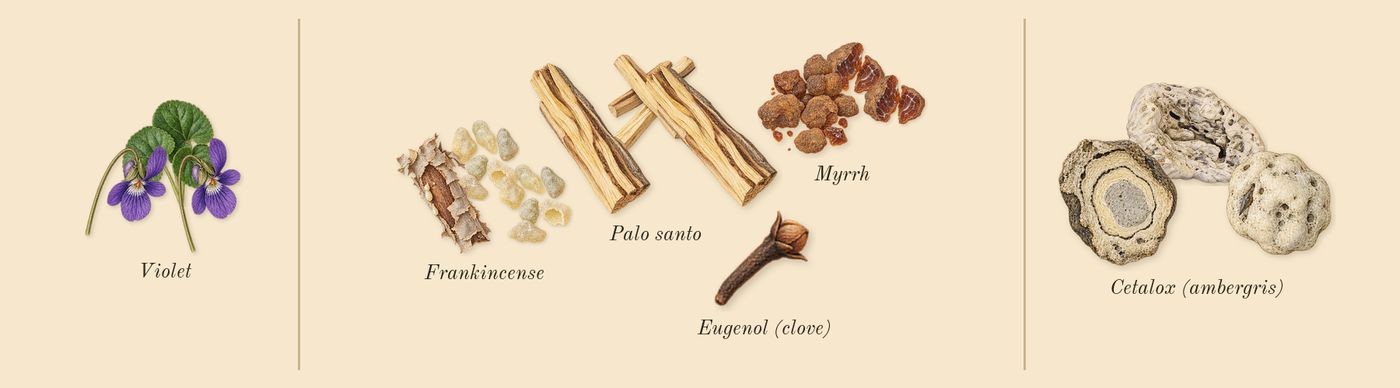 You Doux’s scent picture, a draft: violet, palo santo, frankincense, myrrh, cetalox (ambergris), eugenol (clove) drawn so far; dashed outlines where nothing is drawn yet