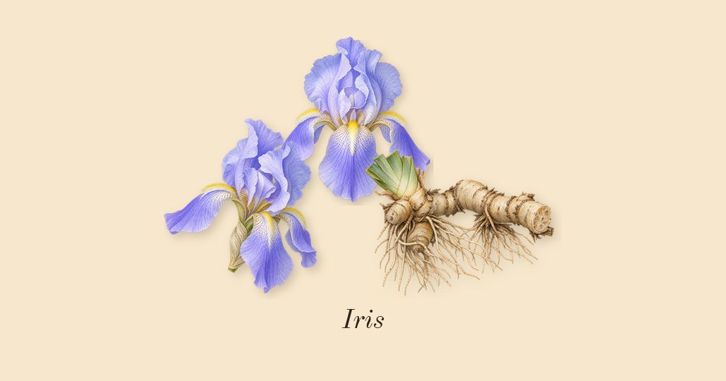 You, heart: Iris