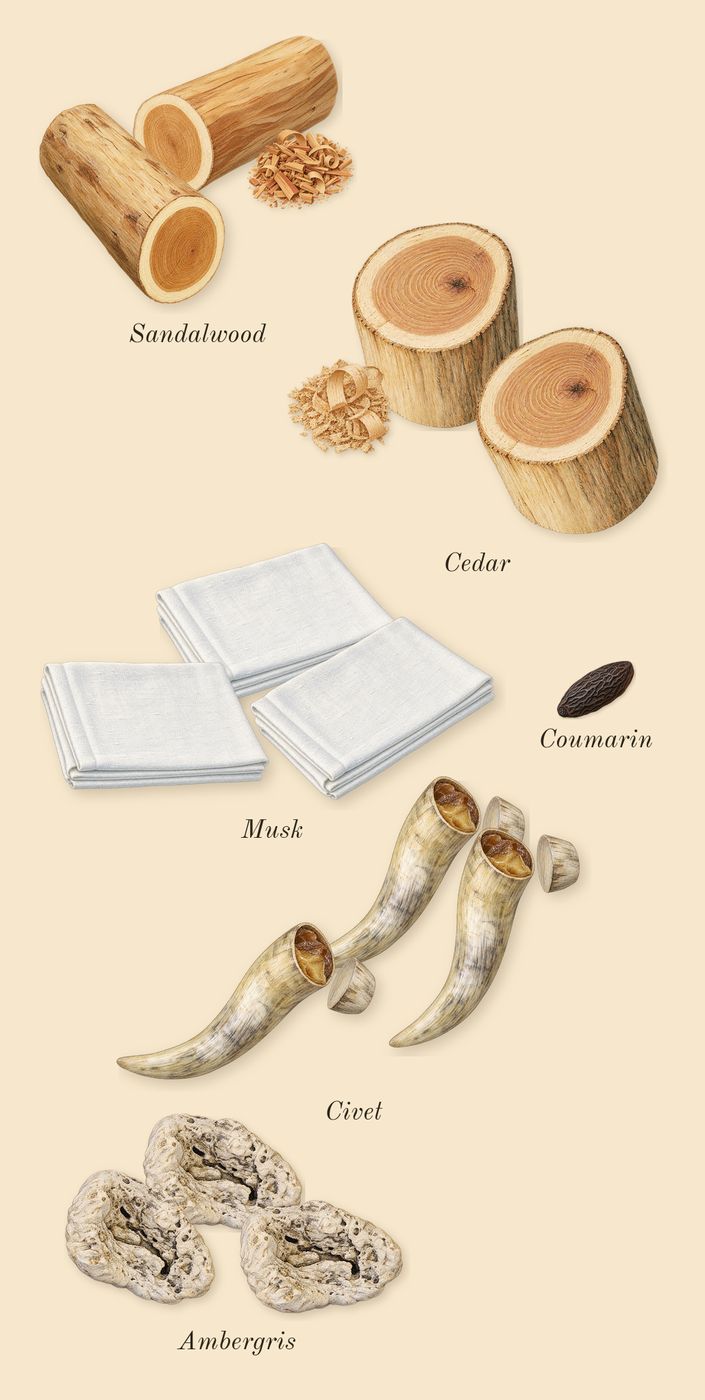 Gold Woman, dry-down: Ambergris, Civet, Musk, Cedar, Sandalwood, Coumarin