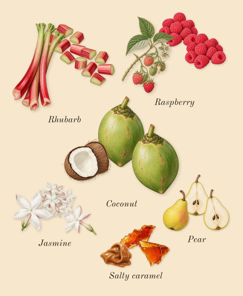 Sunset Hour, heart: Jasmine, Salty caramel, Raspberry, Pear, Coconut, Rhubarb