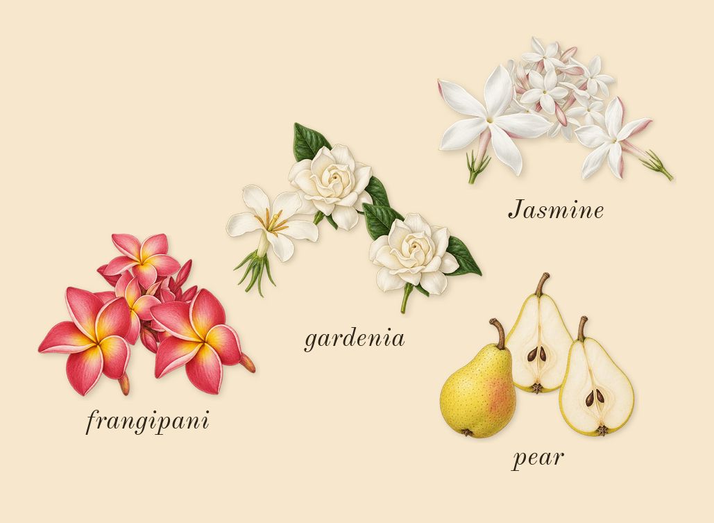Flora Gorgeous Gardenia, heart: gardenia, Jasmine, frangipani, pear