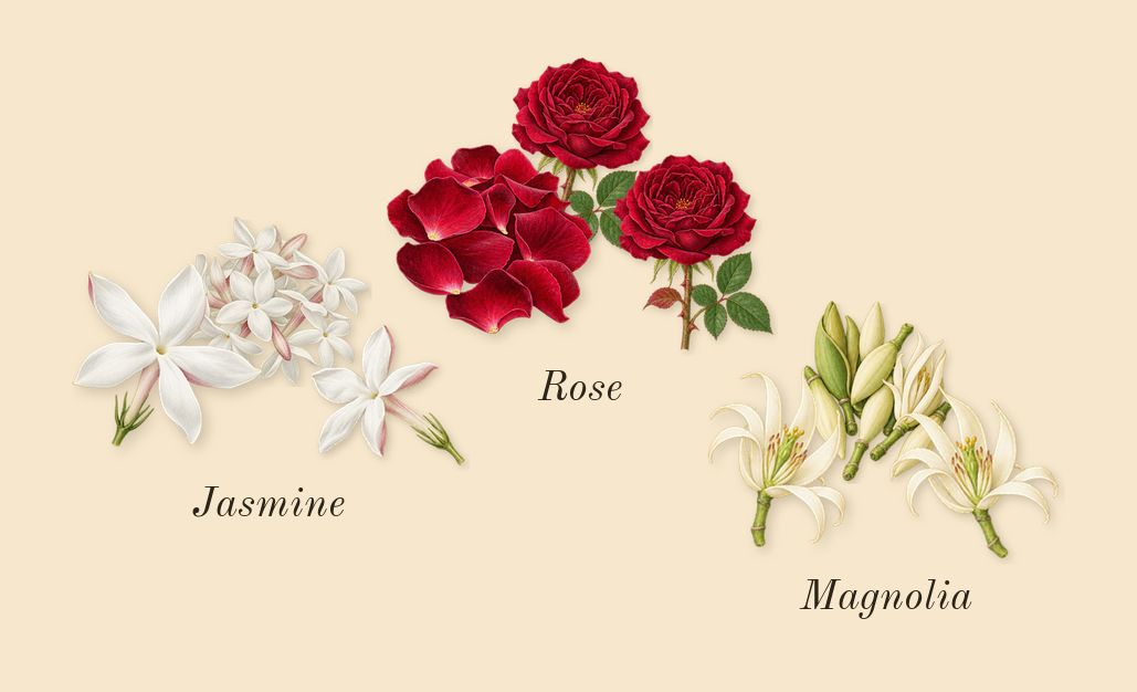 Flora Gorgeous Jasmine, heart: Jasmine, Magnolia, Rose