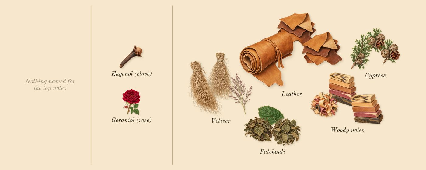Guilty Absolute Pour Homme’s scent picture, a draft: woody notes, patchouli, vetiver, leather, cypress, geraniol (rose) drawn so far; dashed outlines where nothing is drawn yet