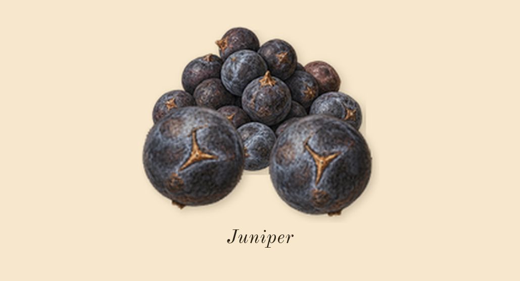 Guilty Love Edition Pour Homme, top notes: Juniper
