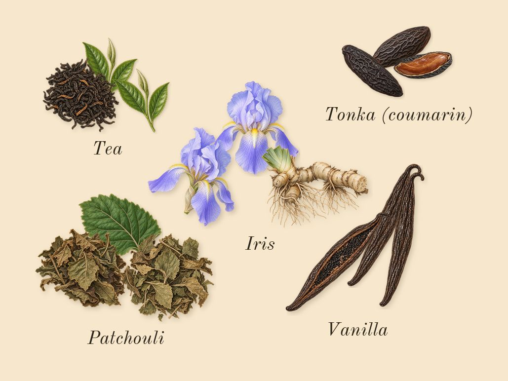 La Petite Robe Noire, dry-down: Patchouli, Tea, Tonka (coumarin), Vanilla, Iris