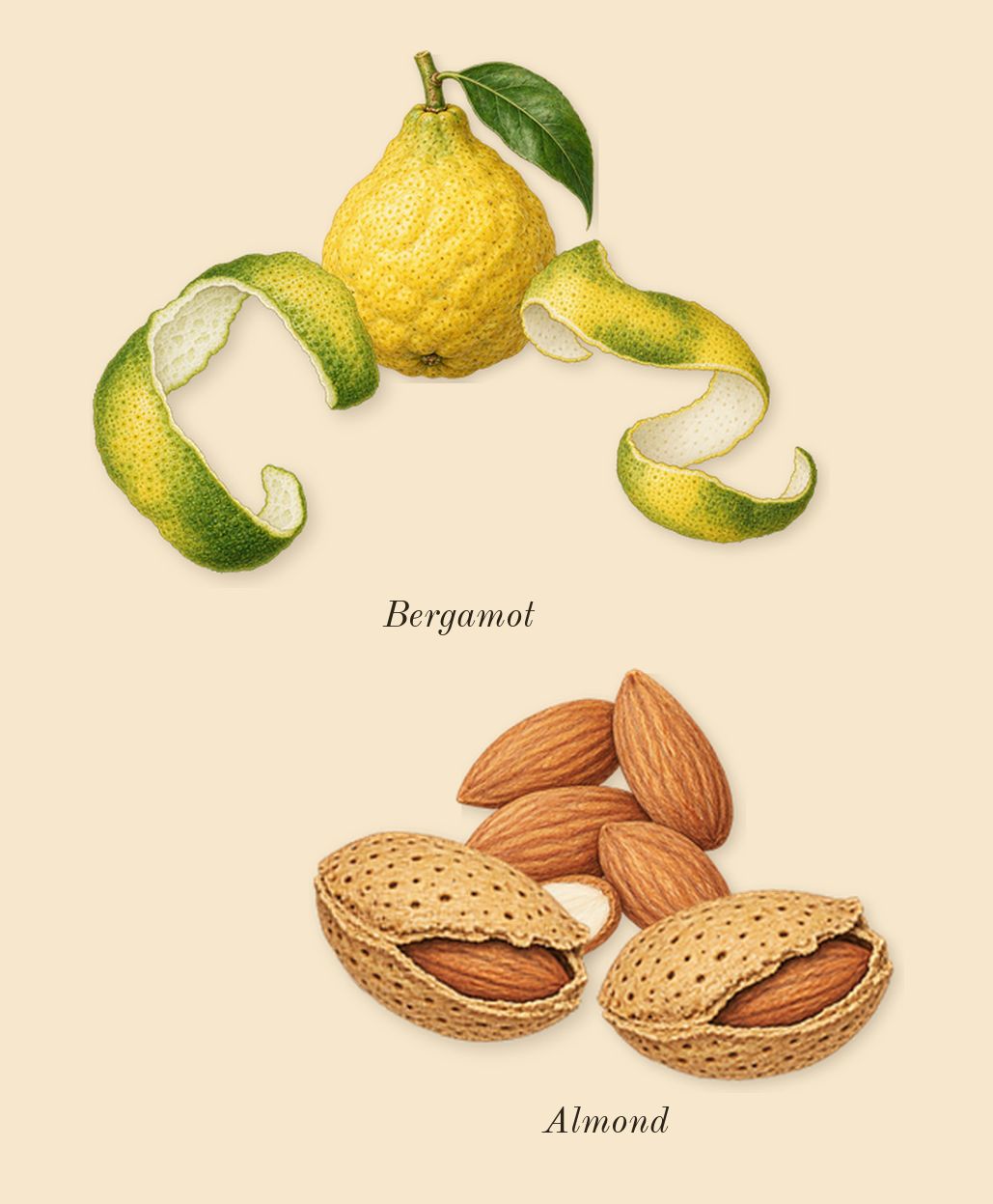 L'Instant Magic, top notes: Bergamot, Almond