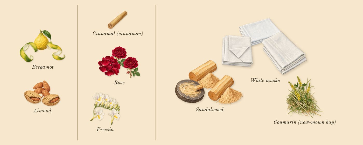 L'Instant Magic’s scent picture, a draft: bergamot, rose, white musks, almond, freesia, sandalwood drawn so far; dashed outlines where nothing is drawn yet