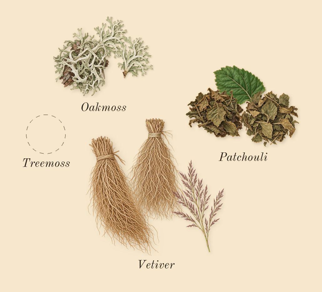 Mitsouko, dry-down: Vetiver, Patchouli, Oakmoss, Treemoss