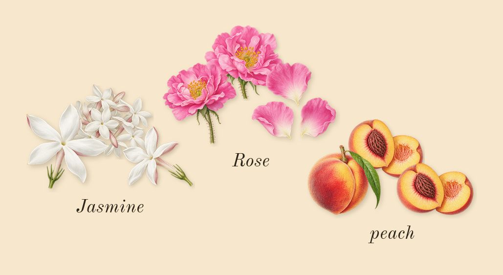 Mitsouko, heart: peach, Jasmine, Rose