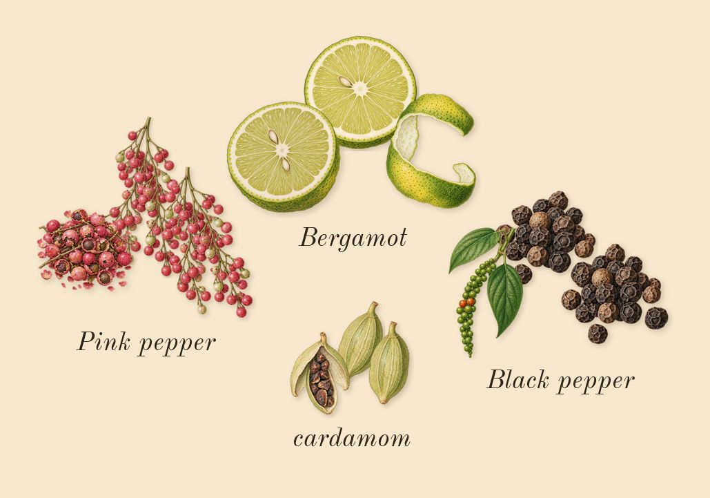 Mitsouko, top notes: Black pepper, cardamom, Pink pepper, Bergamot