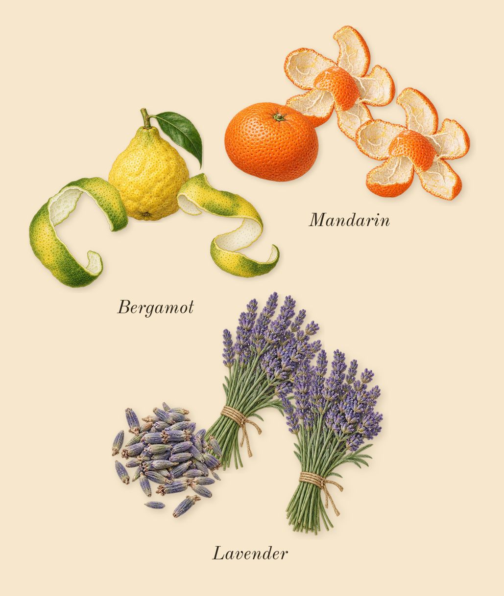 Mon Guerlain Intense, top notes: Lavender, Mandarin, Bergamot