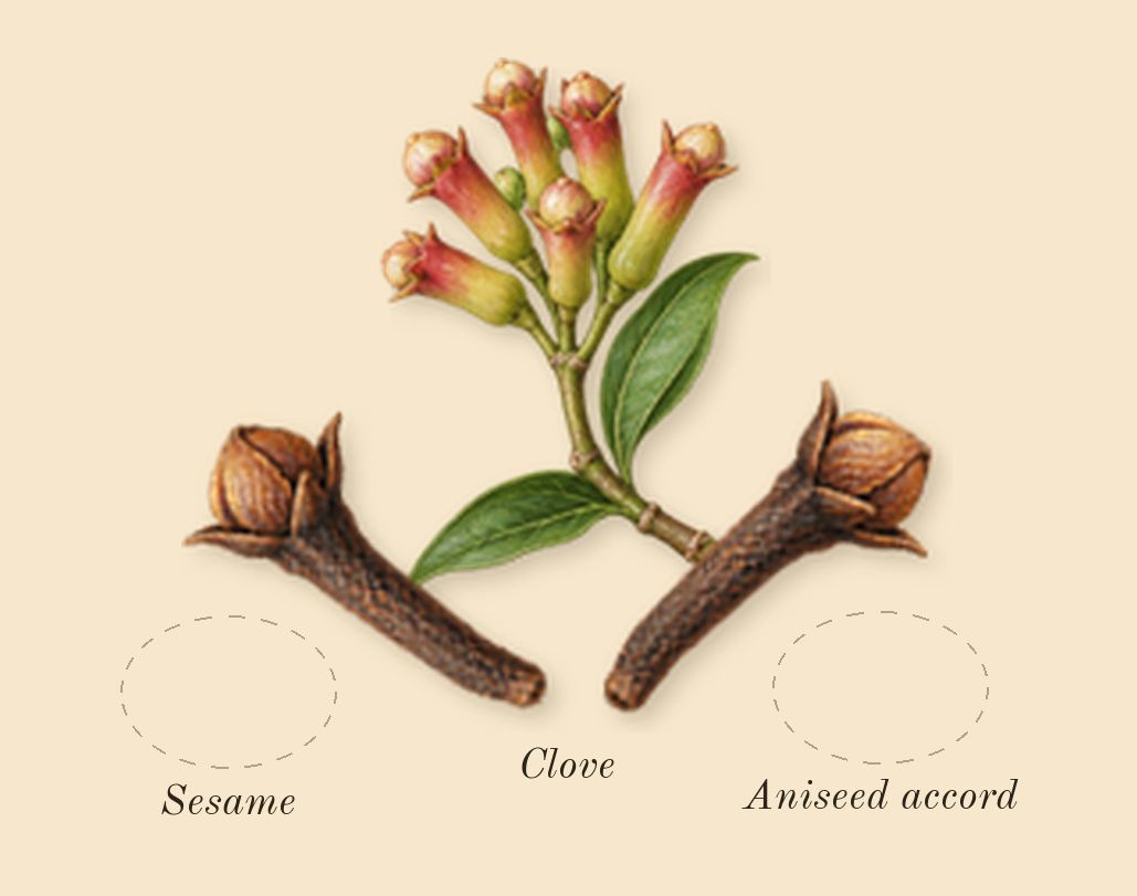 Tobacco Honey, heart: Sesame, Aniseed accord, Clove