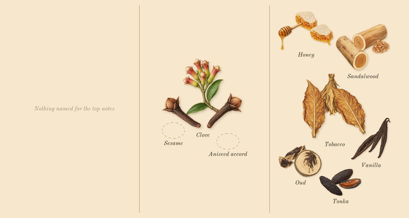 Tobacco Honey’s scent picture, a draft: tobacco, vanilla, tonka, honey, clove, sandalwood drawn so far; dashed outlines where nothing is drawn yet