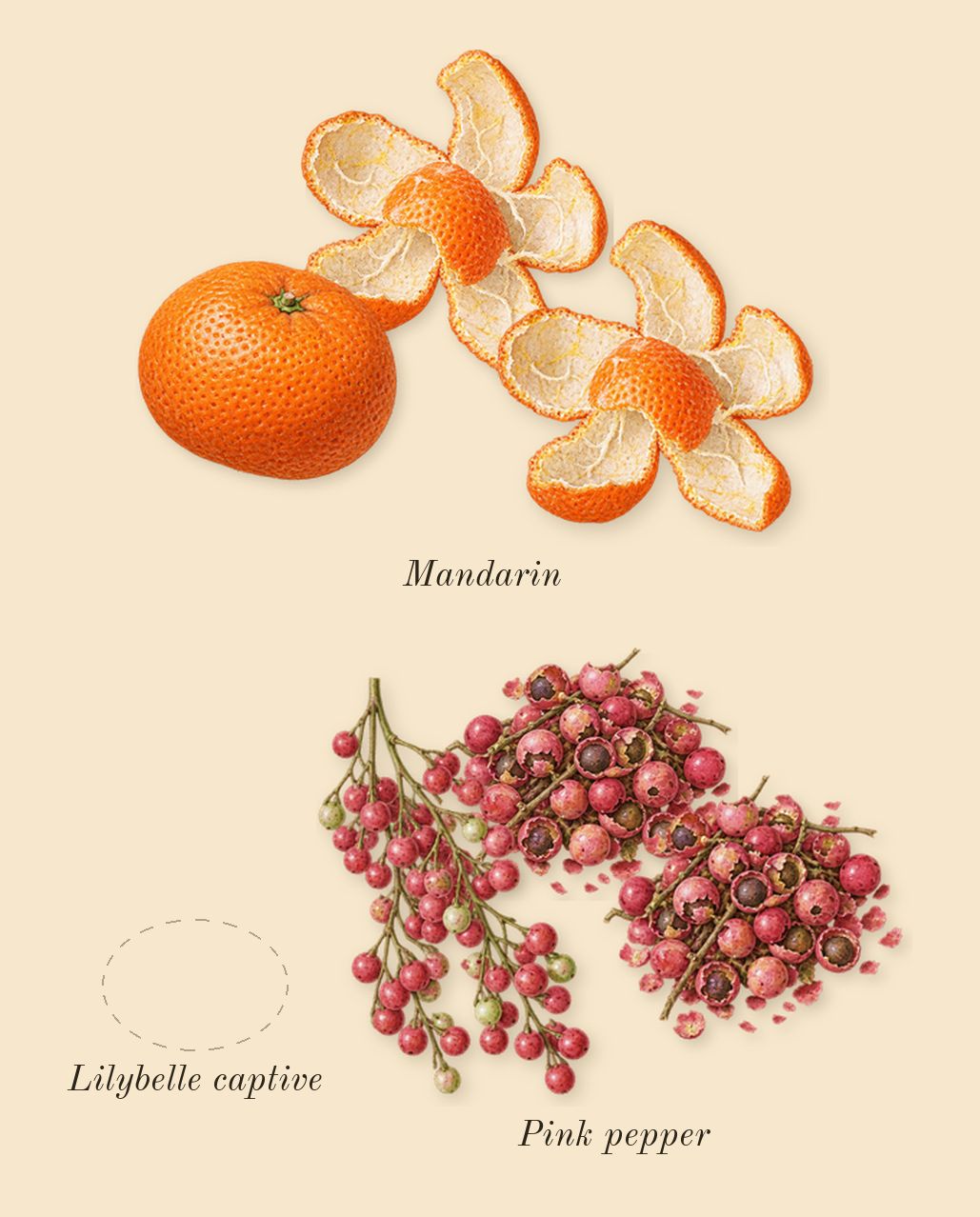 Iconic, top notes: Pink pepper, Lilybelle captive, Mandarin