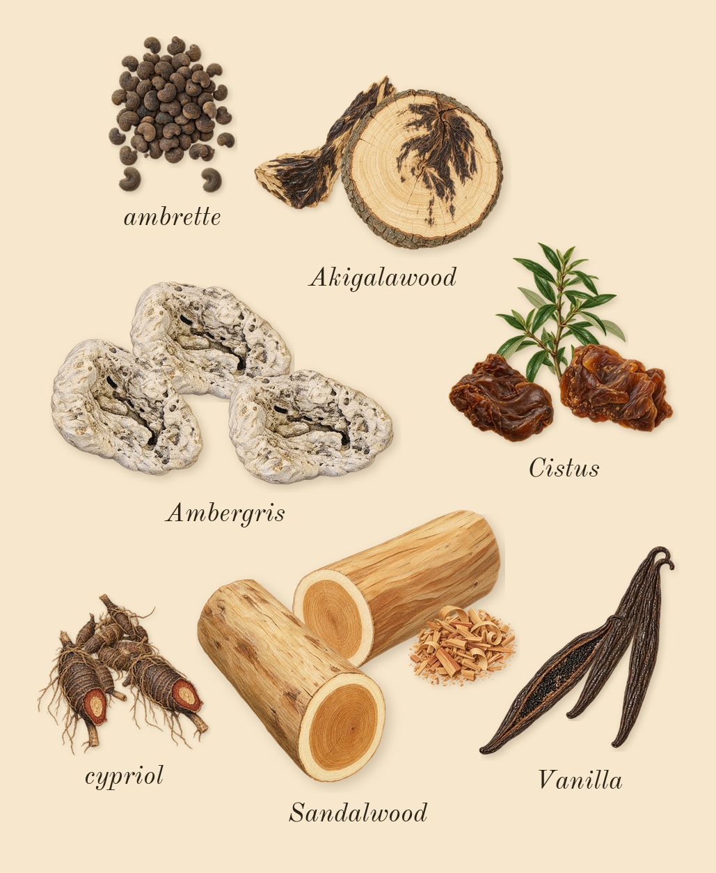 Guidance 46, dry-down: Cistus, Sandalwood, Akigalawood, Ambergris, Vanilla, ambrette, cypriol