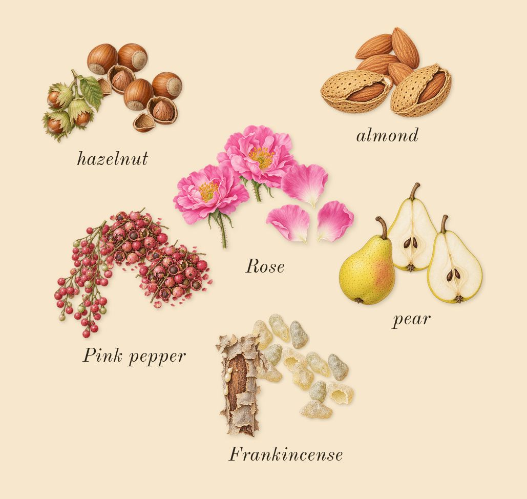 Guidance 46, top notes: pear, Frankincense, hazelnut, Rose, Pink pepper, almond