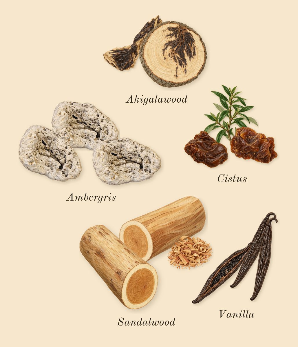 Guidance, dry-down: Cistus, Sandalwood, Akigalawood, Ambergris, Vanilla