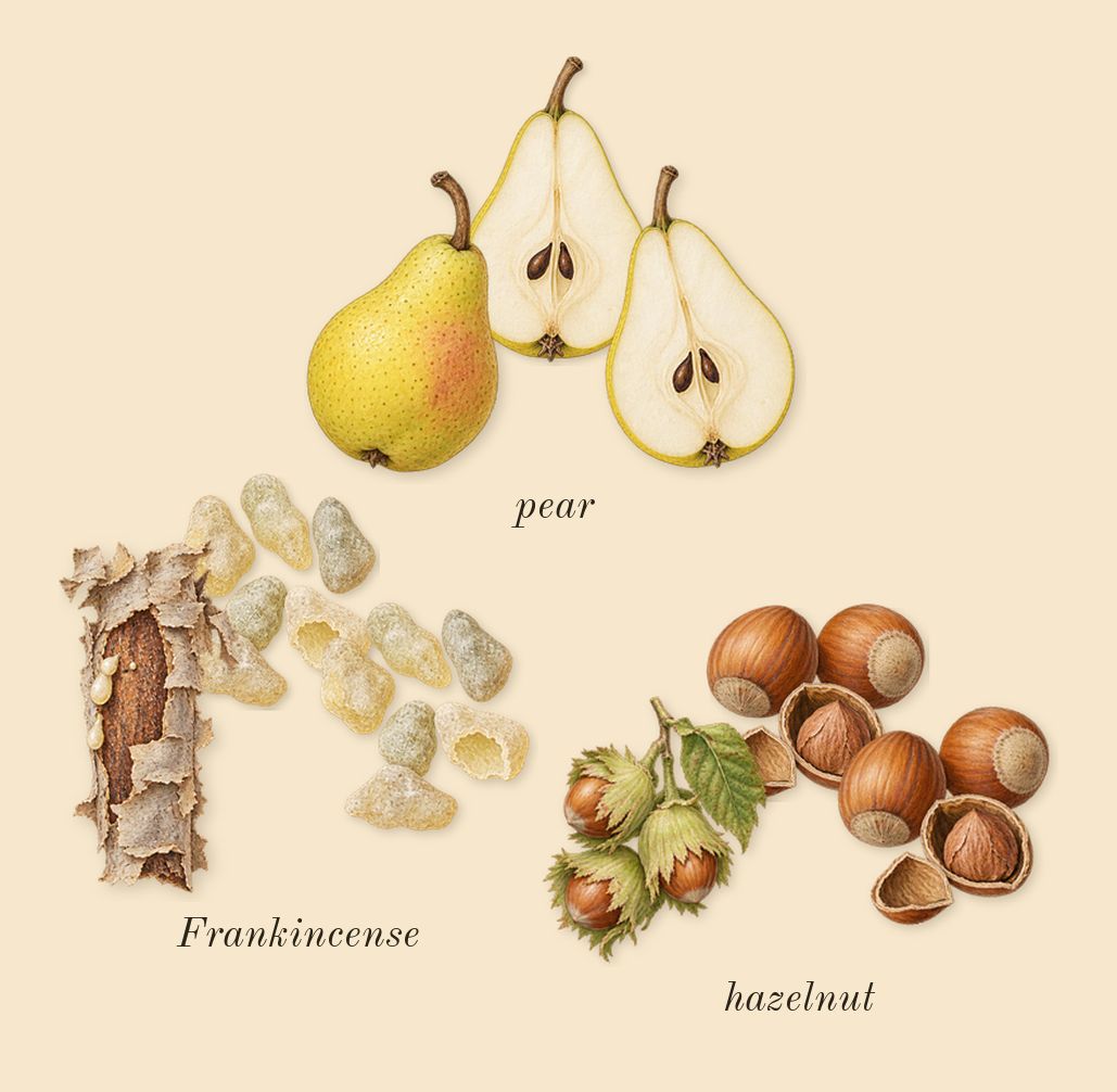 Guidance, top notes: pear, Frankincense, hazelnut
